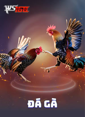 Trò Chơi Scatter